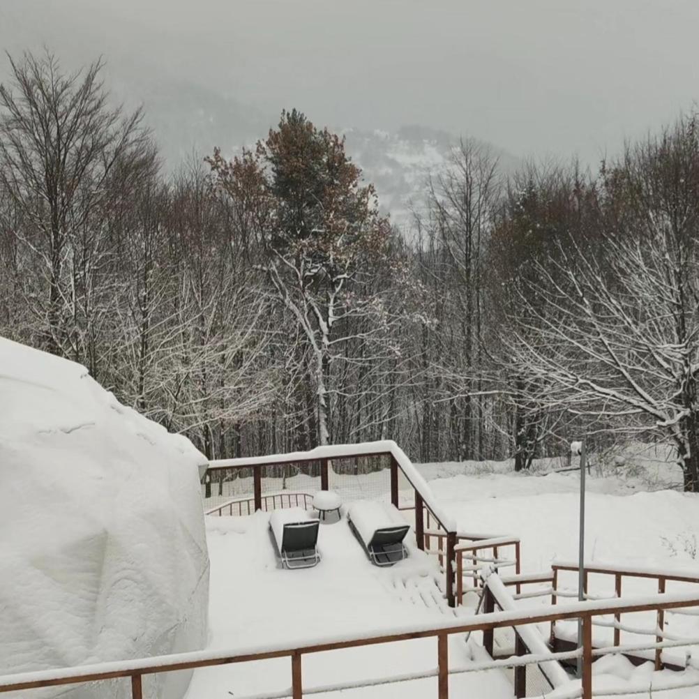 Energy Glamp Hotel เมียดซิบรอดจิ บิอัลสแก ภายนอก รูปภาพ